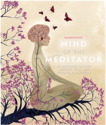 Mind of a meditator